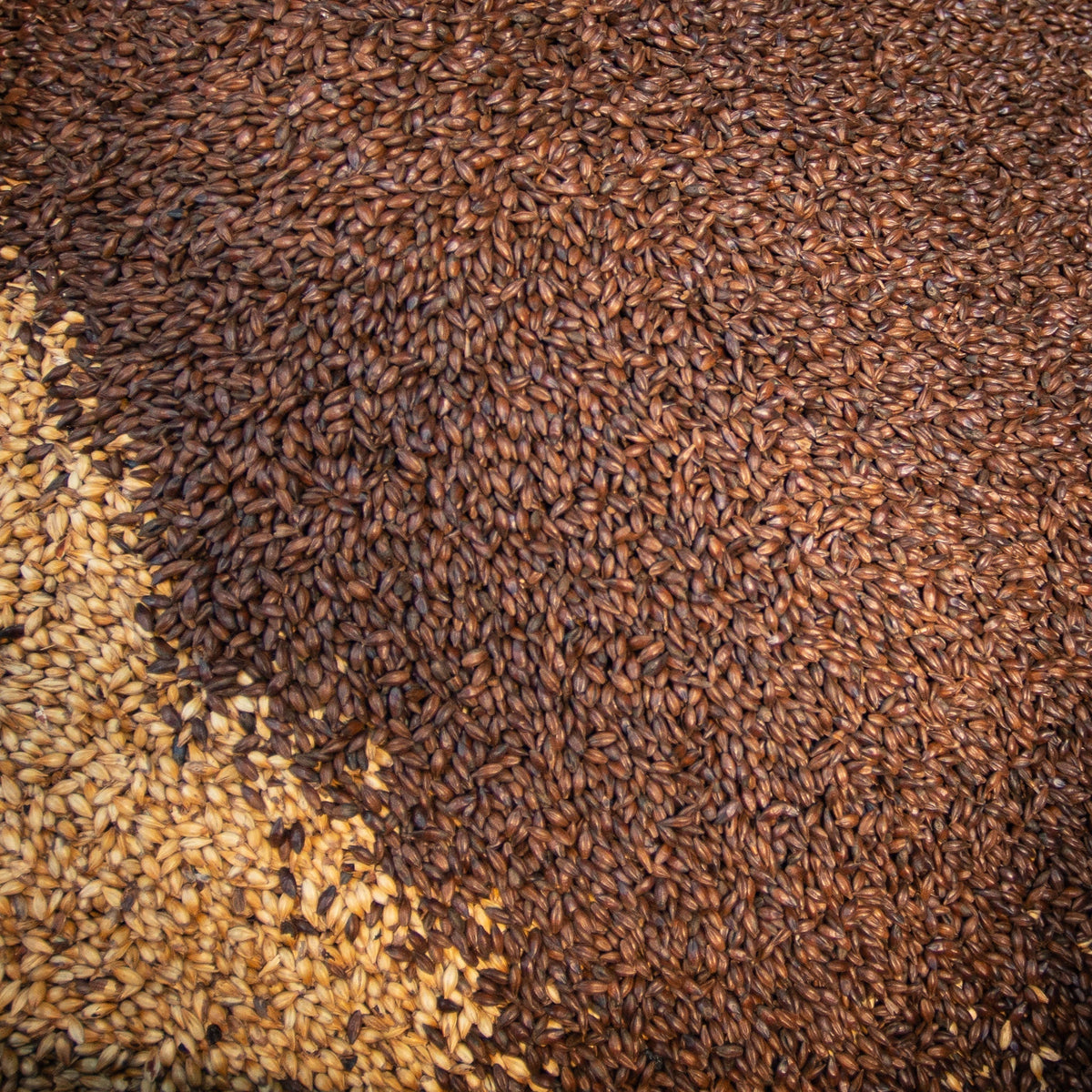 Made in Kent: Our Kentish Ales and their PGI Status
