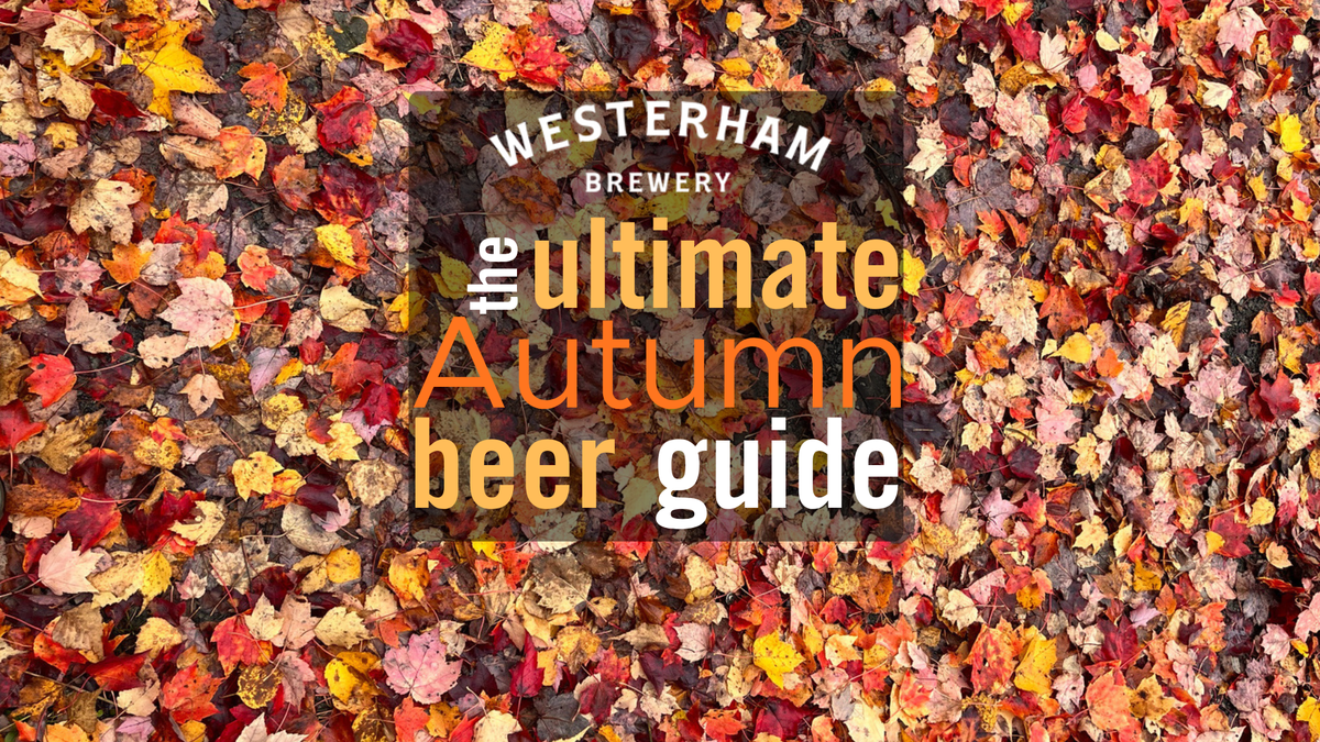 Perfect Pints for Autumnal Nights: The Ultimate Guide to Our Beer This Season
