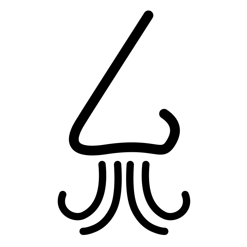 Aroma icon